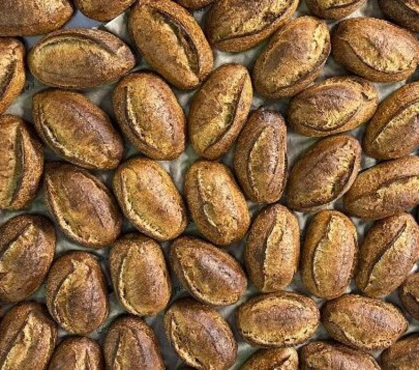 Achtergrond Miche