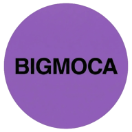 Big Moca logo - webshop